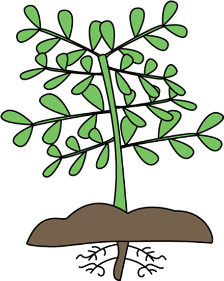 Mockingbird Nursery Site Icon - Plants Clipart (550x550)