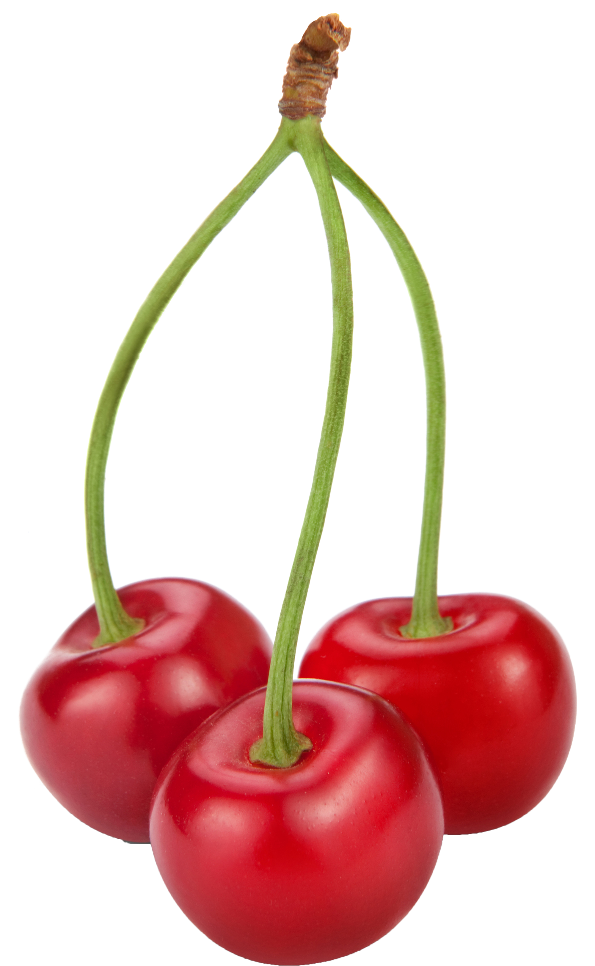 Cherries Png Clipart - Cherries Png (2000x3302)