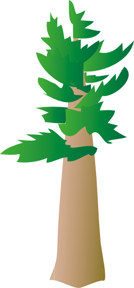 Free Vector White Pine Tree Clip Art - Pine (276x592)