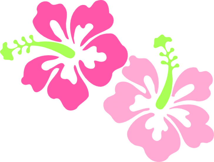 Hibiscus Clip Art (728x552)