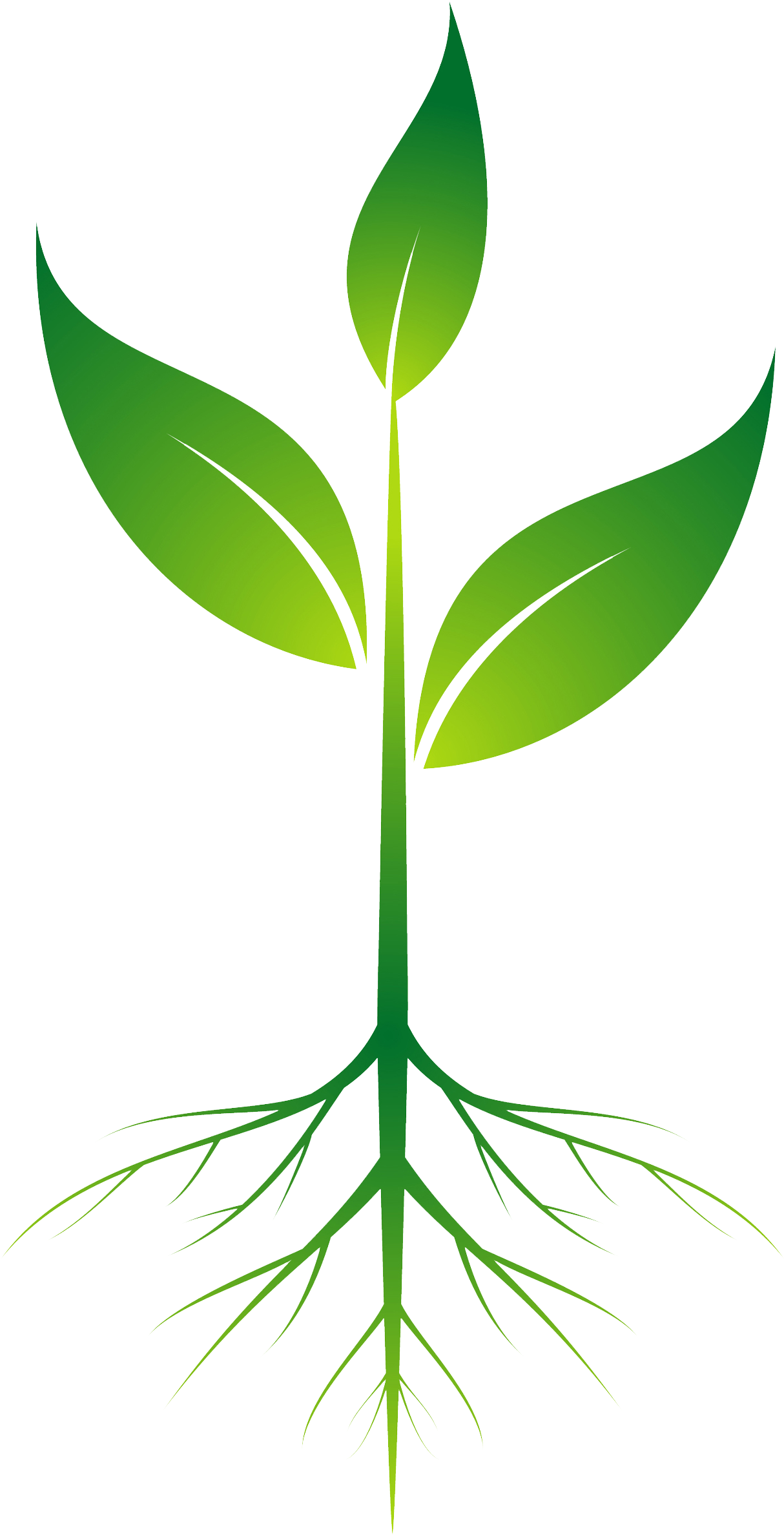 Root Plant Clip Art - Root Plant Png (2200x2500)