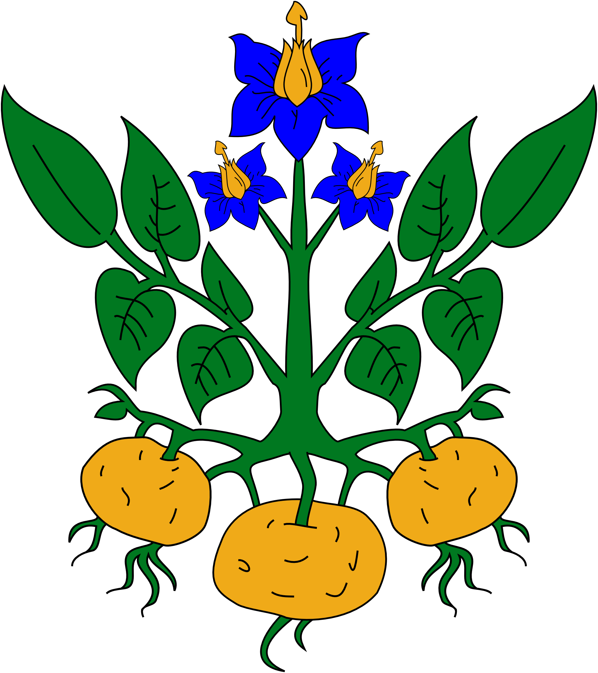 Clipart Parts Of A Plant Clipart Plant Part Clipart - Potato Plant Clipart (1979x2224)