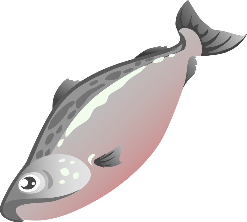 Medium Image - Salmon Fish Clipart (800x718)