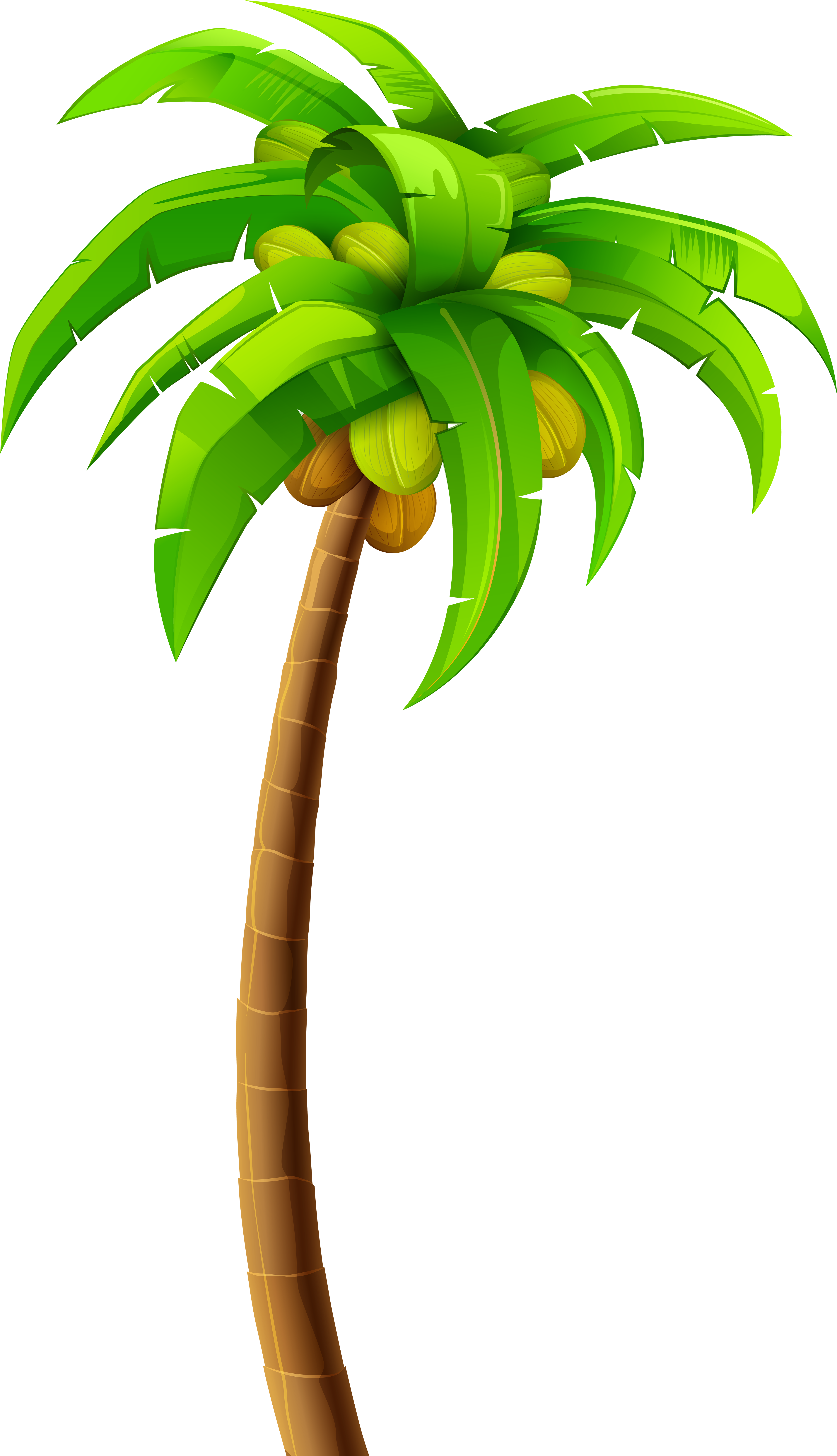 Palm Png Clip Art - Palm Png Clip Art (4730x8000)