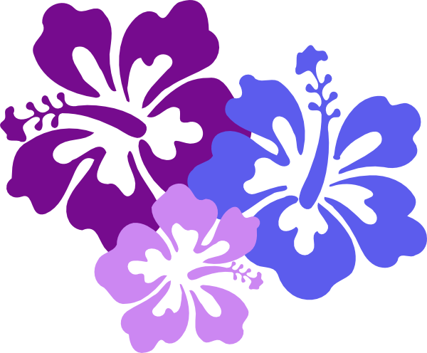 Hawaiian Flower Clip Art Borders Free Clipart Images - Hawaiian Flower Png (600x496)