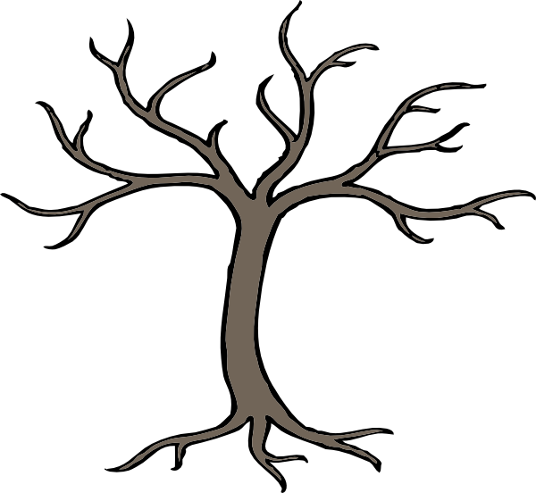 Tree With Branches Drawing (600x552)