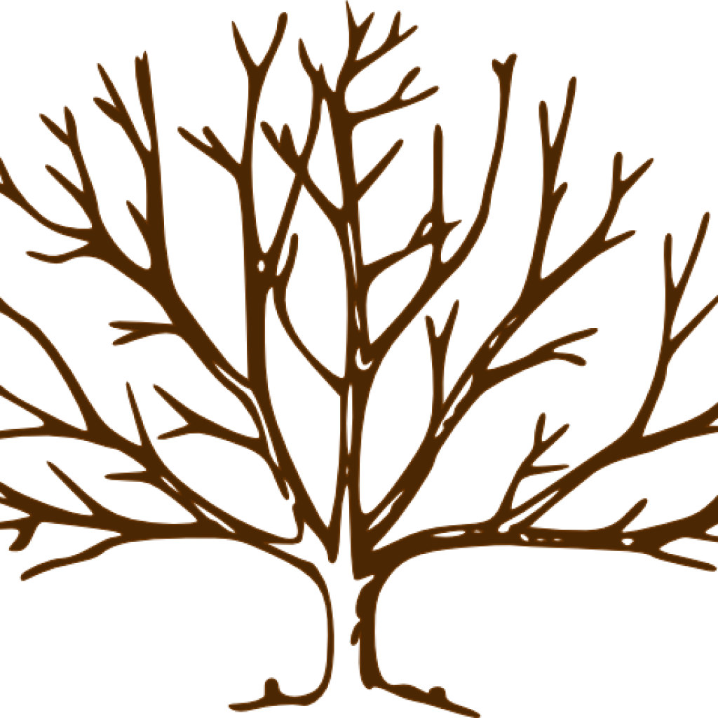 Bare Tree Clipart Bare Tree Clipart Clipart Panda Free - Draw A Tree With Snow (1024x1024)