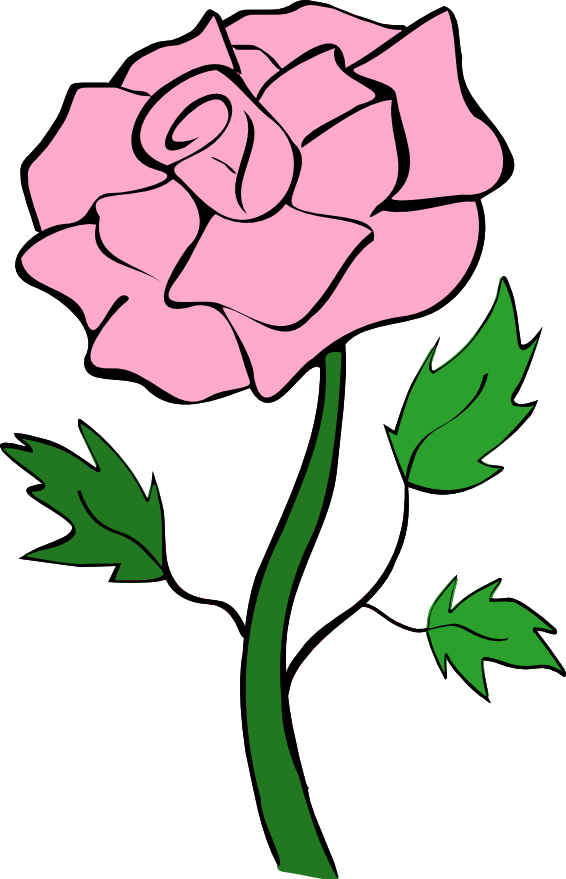 Clipart Rose - Pink Rose Clipart (566x879)