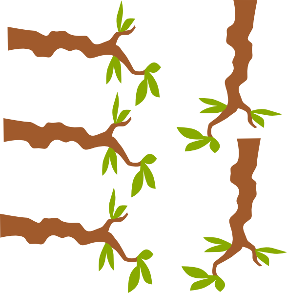 Tree Branch Clip Art (588x600)