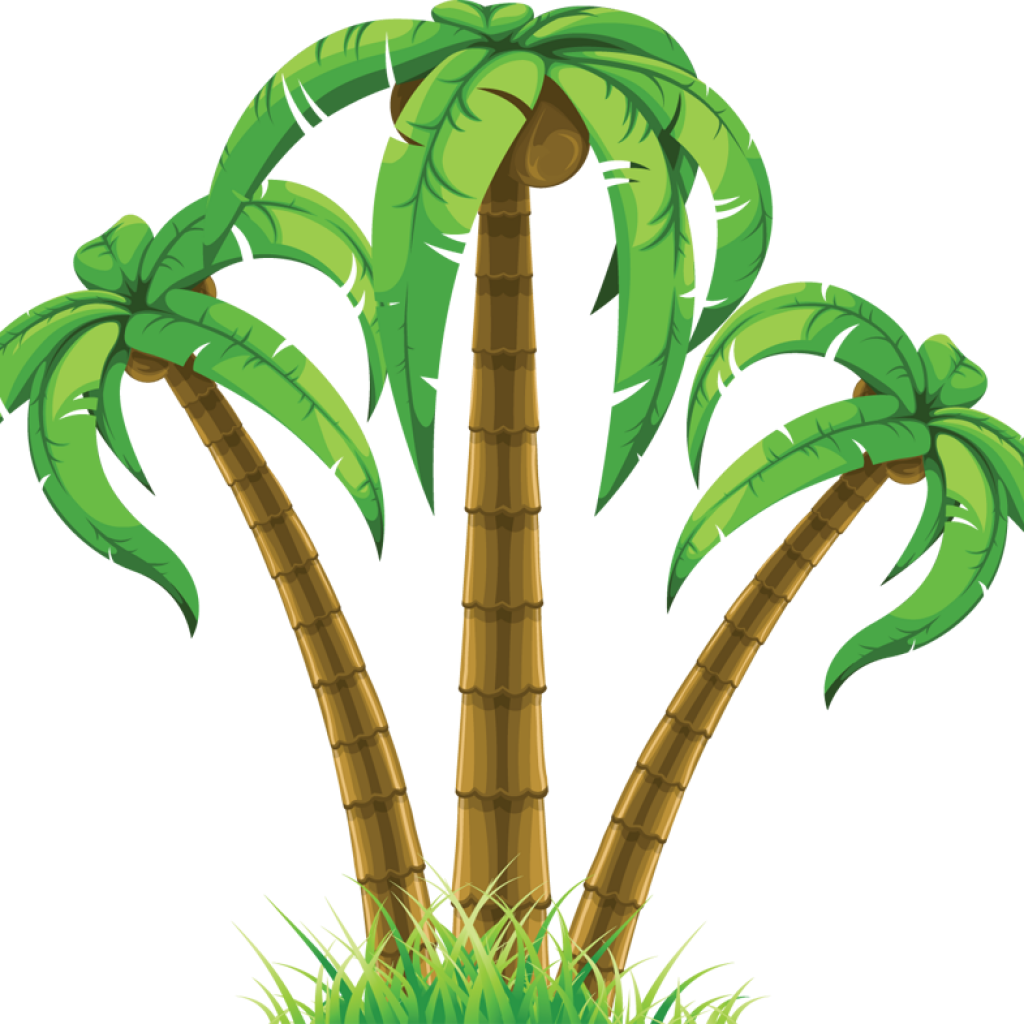 Palm Tree Clip Art Free Group Of Three Palm Trees 863786 - Palm Tree Clip Art Free Group Of Three Palm Trees 863786 (1024x1024)