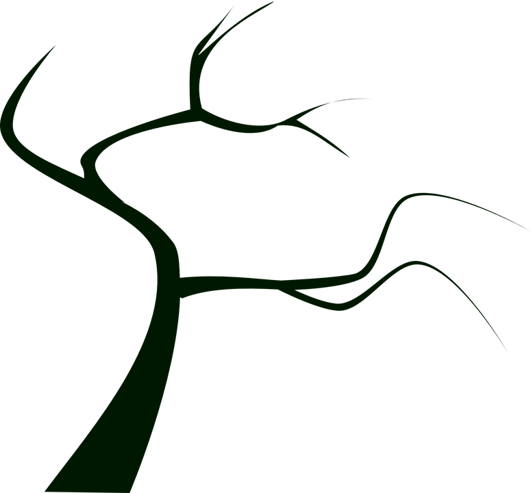 Tree Plant Dead Tree Silhouette Branch Bare - Tree Plant Dead Tree Silhouette Branch Bare (775x720)