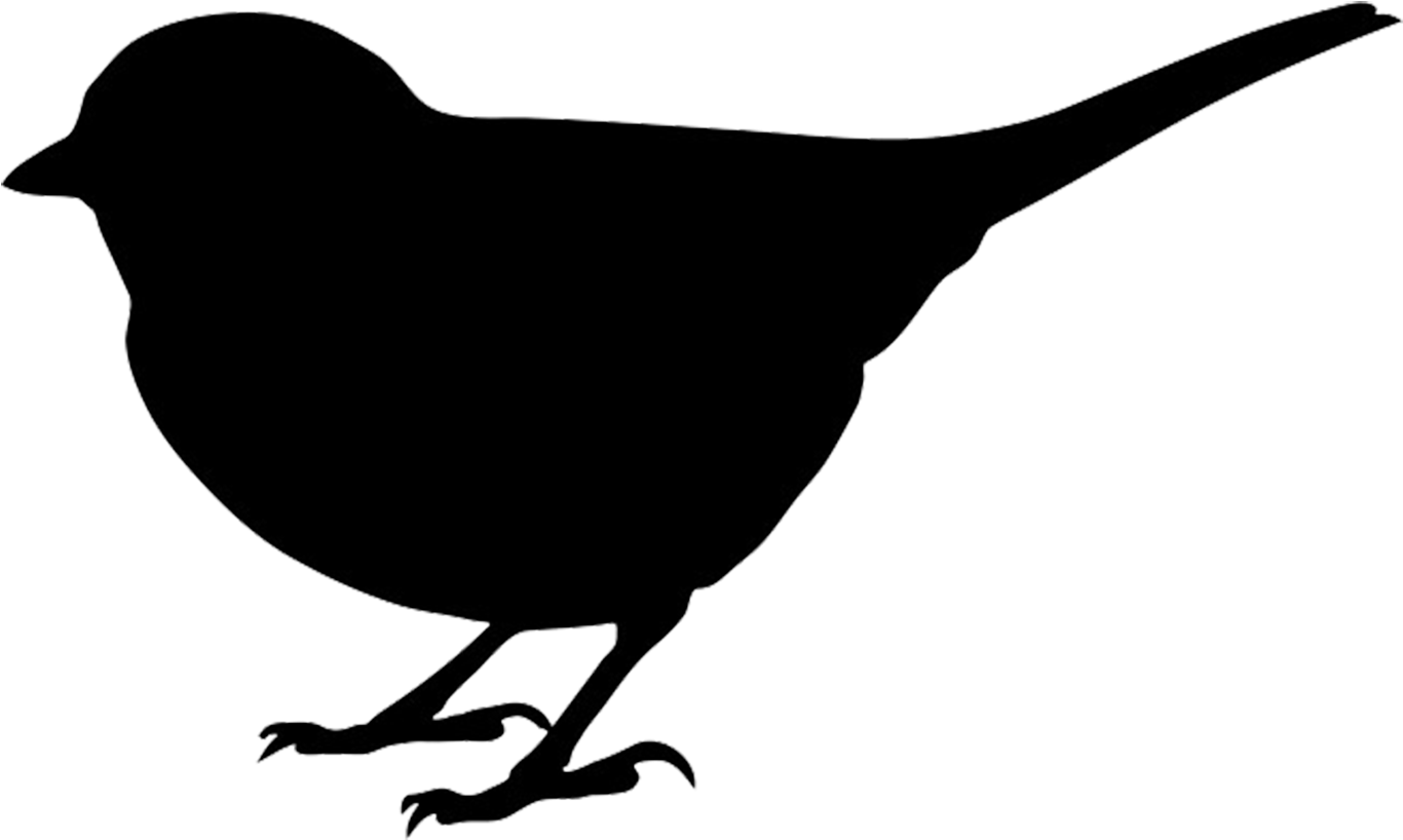 Clip Art Of A Black Bird Blackbird Clipart Cute Pencil - Clip Art Of A Black Bird Blackbird Clipart Cute Pencil (1494x981)