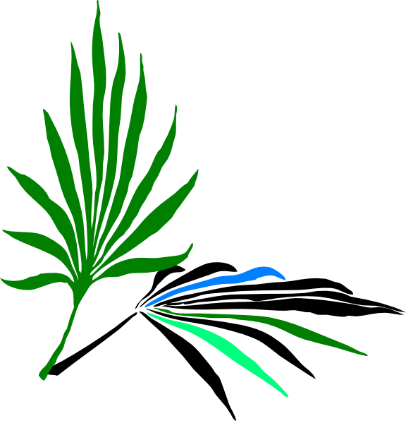 Palm Leaves Clip Art - Palm Leaves Clip Art (576x596)