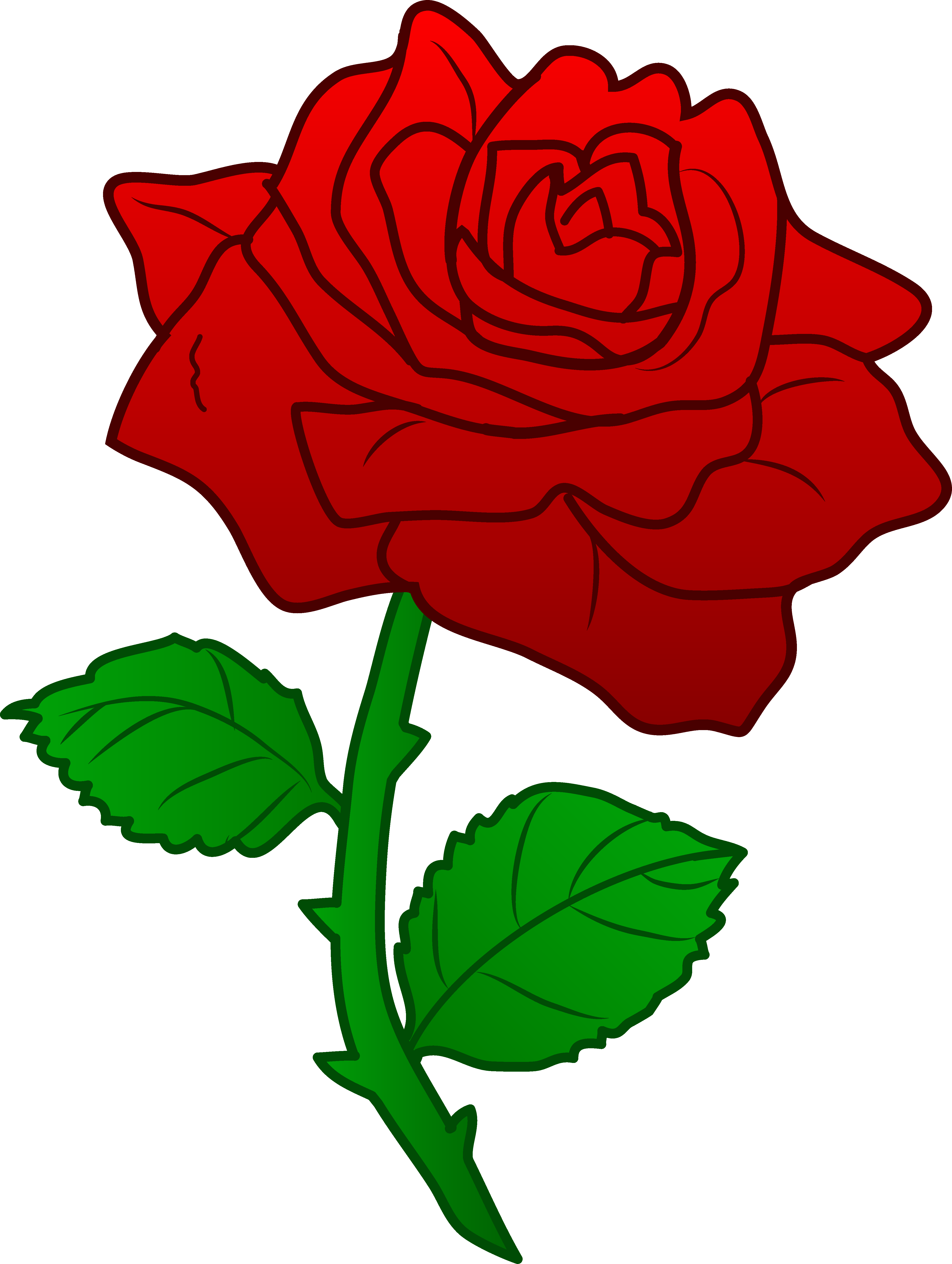 Clipart Rose - Clipart Rose (4481x5947)