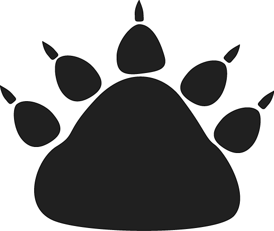 Bear Paw Clipart Black And White - Bear Paw Clipart Black And White (545x459)