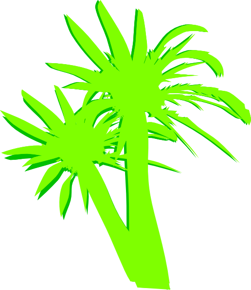 This Free Clip Arts Design Of 2 Palm Trees - This Free Clip Arts Design Of 2 Palm Trees (516x597)