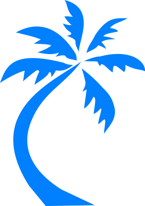Palm Tree Palm Blue Silhouette Beach Tropical - Palm Tree Palm Blue Silhouette Beach Tropical (506x720)