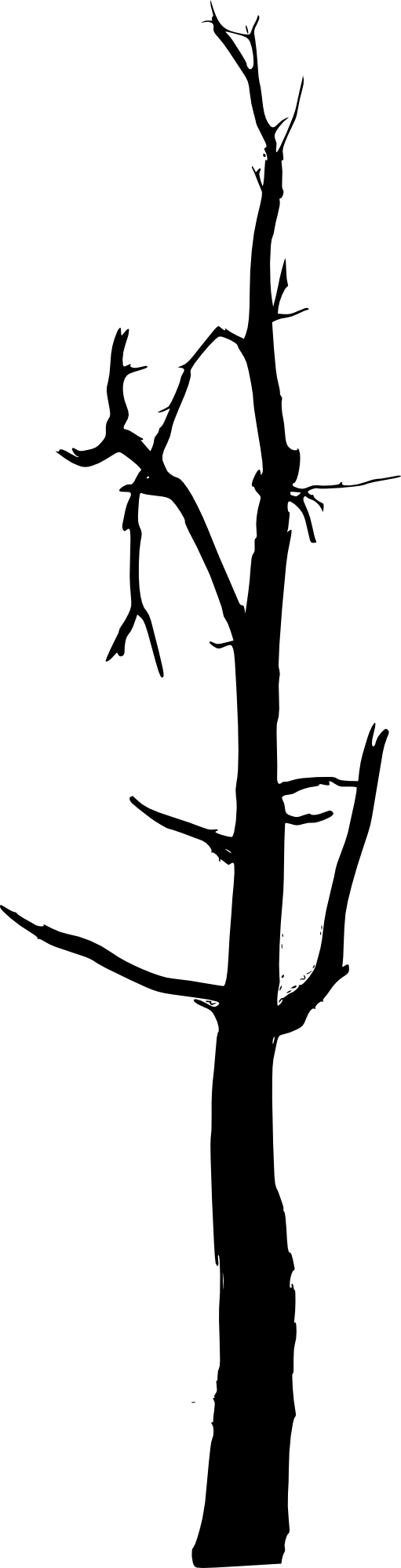 Bare Tree Silhouette Images - Bare Tree Silhouette Images (511x2000)