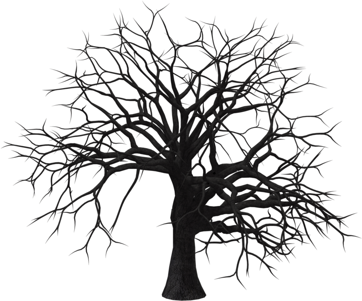Sumac Tree 01 By Free Stock By Wayne On Clipart Library - Deccal Friedrich Nietzsche Araf Yayinlari (1024x645)