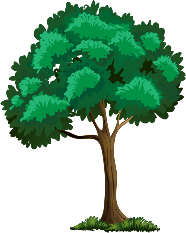 Trees ‿✿⁀°••○ - Arbre Clipart Png (630x800)