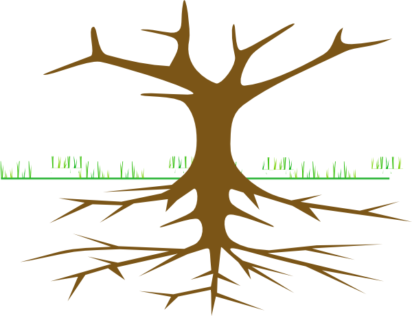 Environmental Movements In India (600x460)