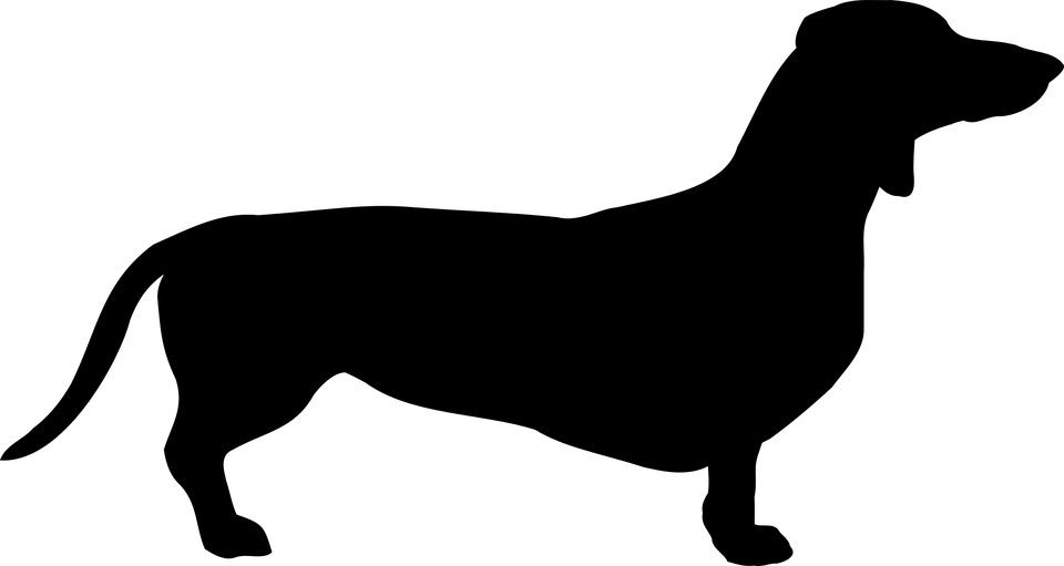Dog Dachshund Breed Pet Coat Doggy The Sil - Happy Halloweenie Dachshund Wiener Dog Halloween T (960x511)