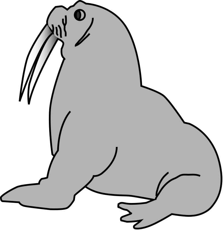 Australian Animals Clipart Free Download Clip Art - Seal Clip Art (776x800)