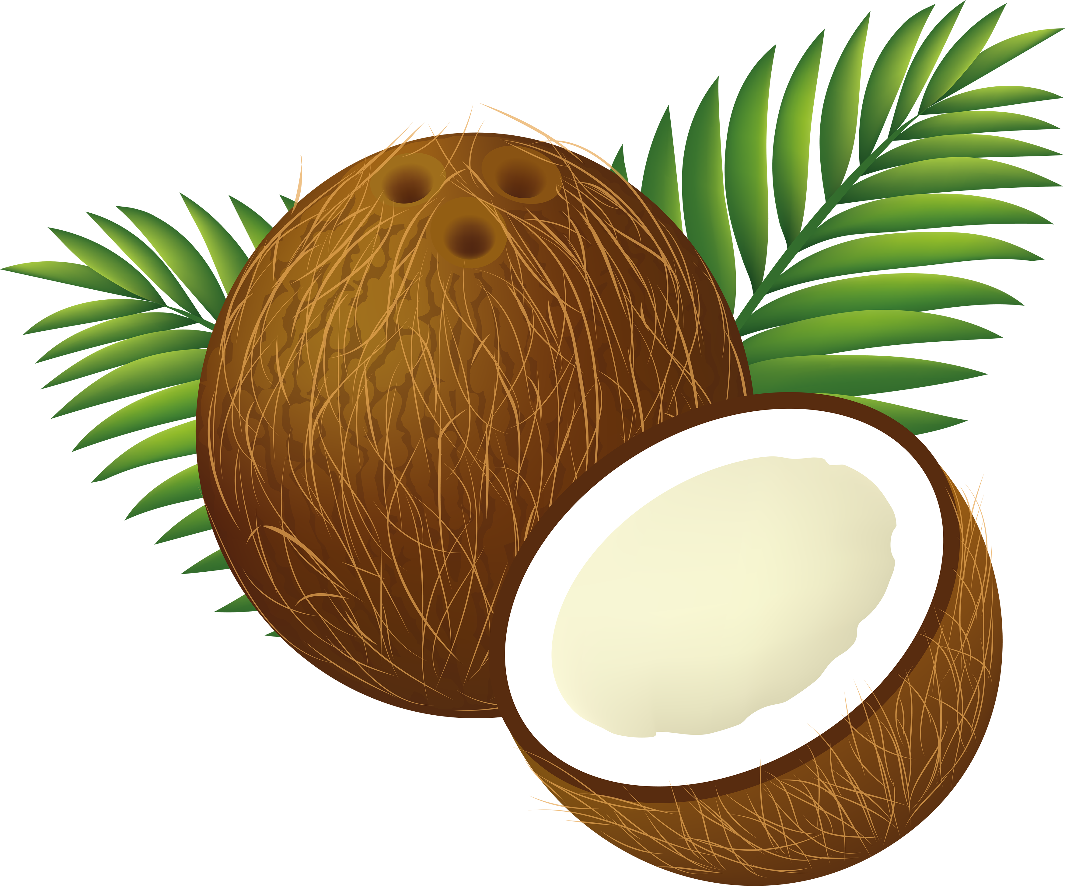 Tropical Coconut Drink Clipart - Tropical Coconut Drink Clipart (3500x2912)