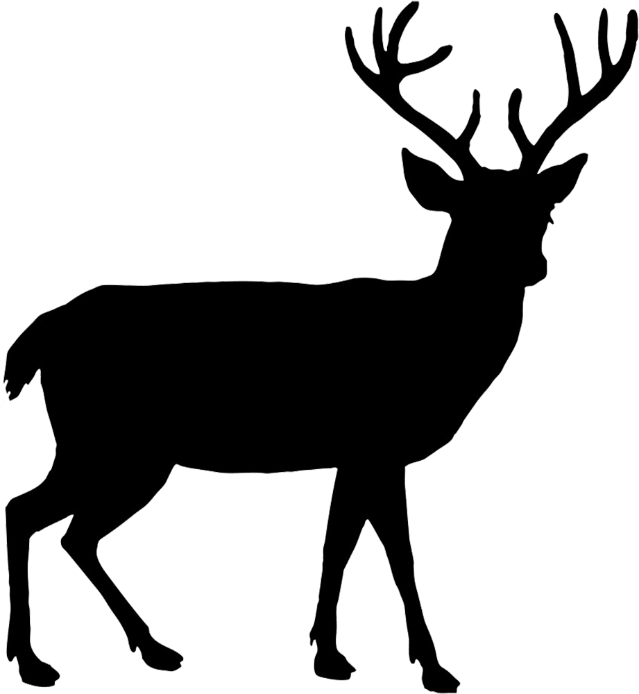Beautiful Deer Silhouette - Beautiful Deer Silhouette (1004x1049)