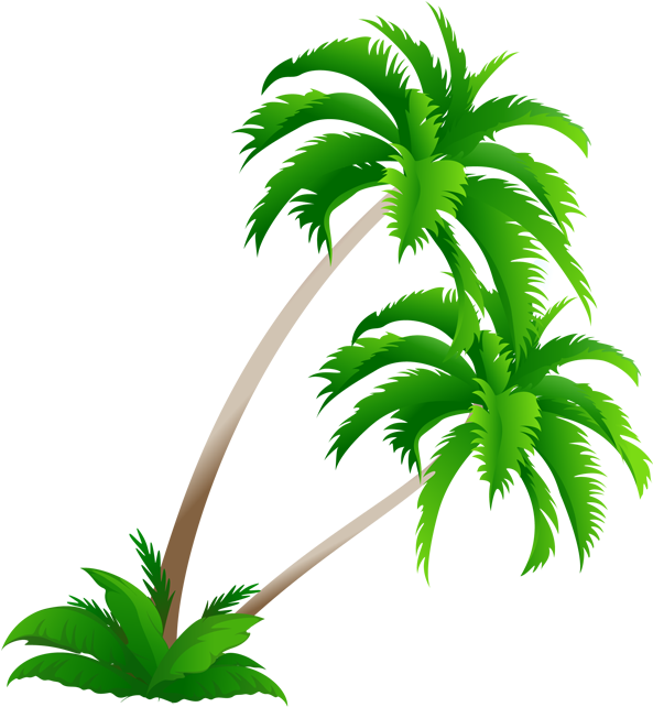 Arecaceae Coconut Tree Clip Art - Arecaceae Coconut Tree Clip Art (709x709)