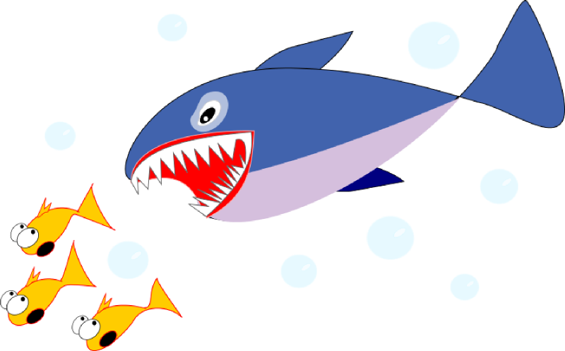School Of Fish Clip Art - Fish Shark Clip Art (800x497)