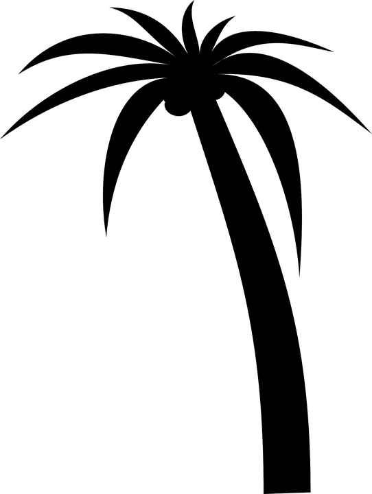 Tree Palm Silhouette Tropical Black Coconut Plant - Palm Tree Clip Art (542x720)