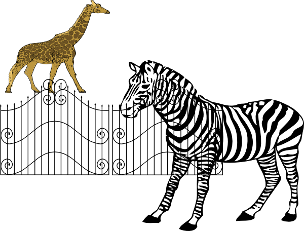 Zoo Animals Clip Art - Zebra Drawing Black And White (600x456)