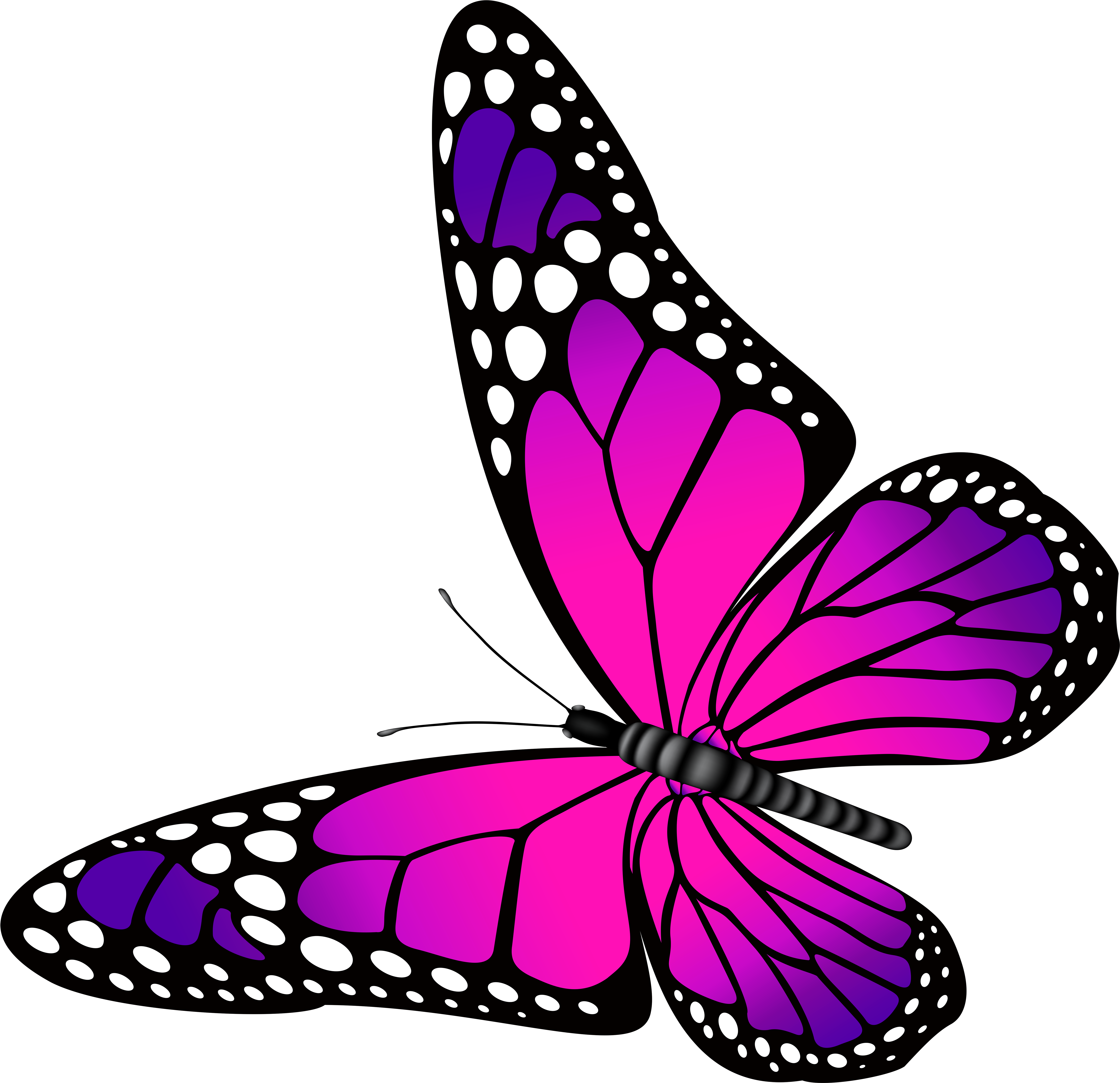Clipart Pink Butterflies And Purple Butterfly Clip - Purple Butterfly Clip Art (7000x6769)