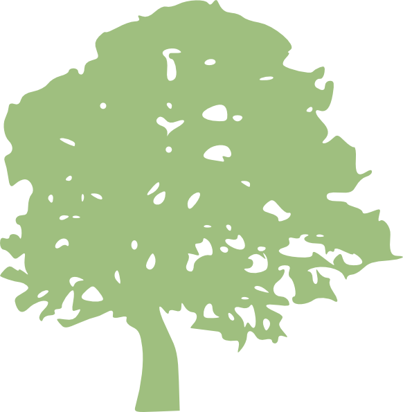 Oak Tree Clip Art - Oak Tree Clip Art (582x595)