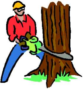 People Can Destroy The Grassland By Hunting And Shooting - Trees Being Chopped Down (409x300)