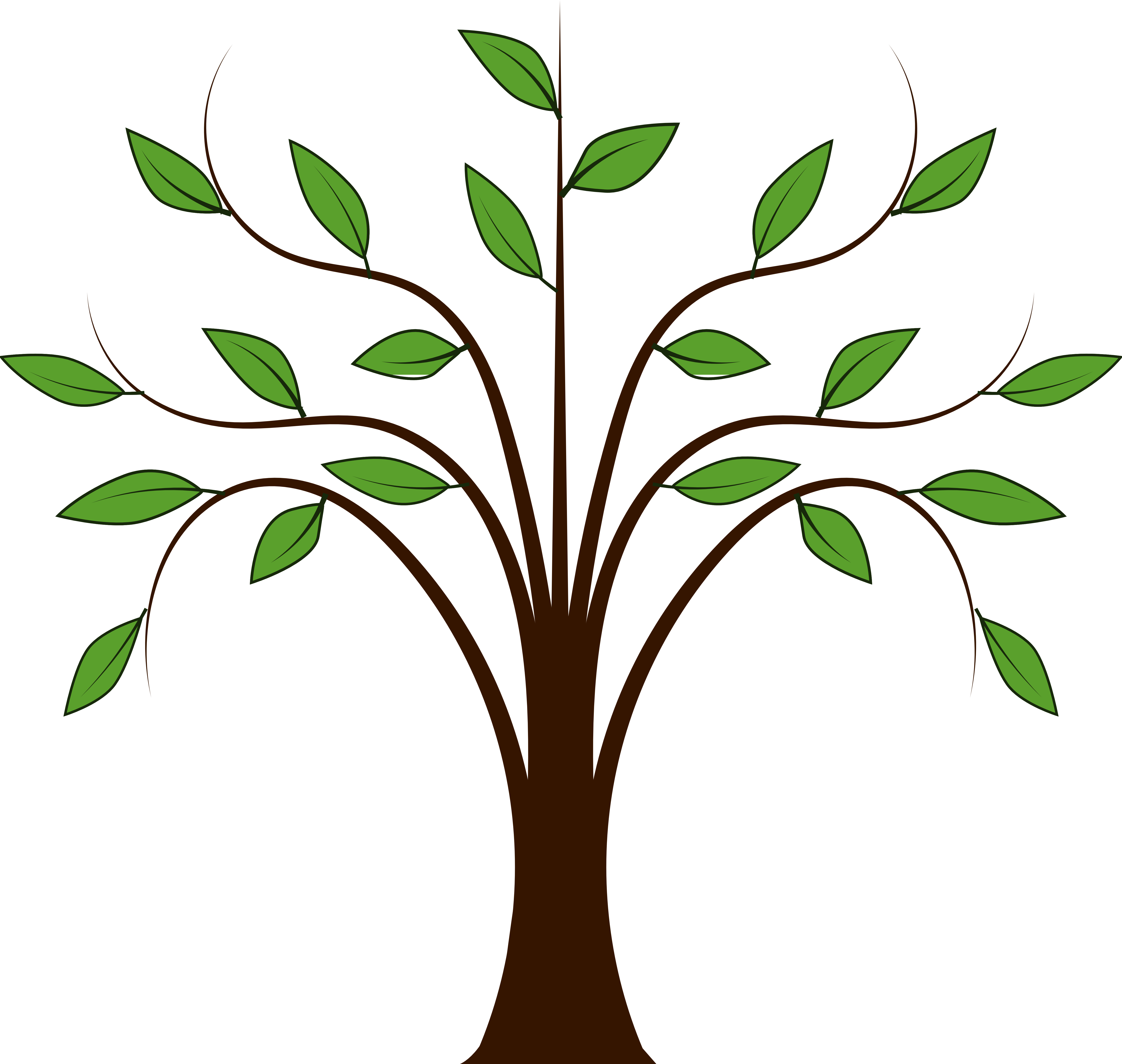 Clip Art Trees Free - Clip Art Trees Free (5555x5270)