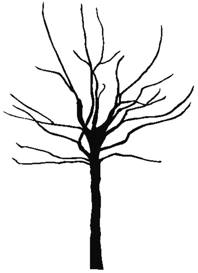 Family Tree Clip Art Color Page - Family Tree Clip Art Color Page (640x881)