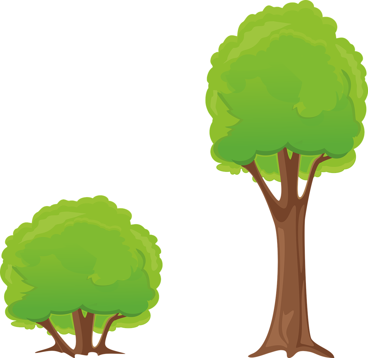 Tree Bush Clipart Nature Forest - Bäume Clipart (1280x1244)
