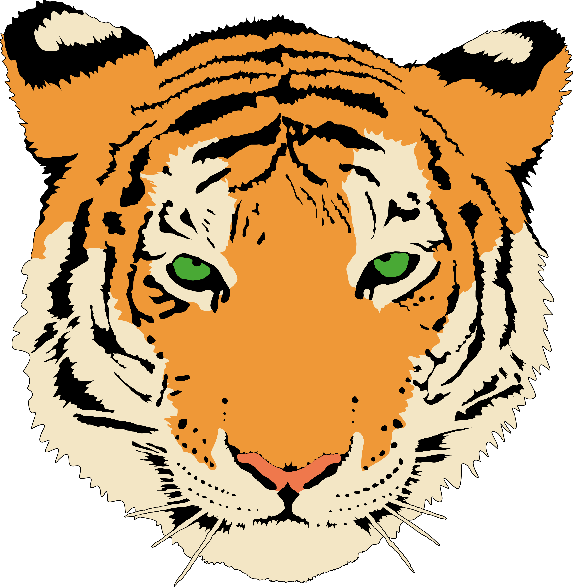 Tiger By @anonymous, A Young Tiger's Head, On @openclipart - Sma N 1 Simo (2341x2400)
