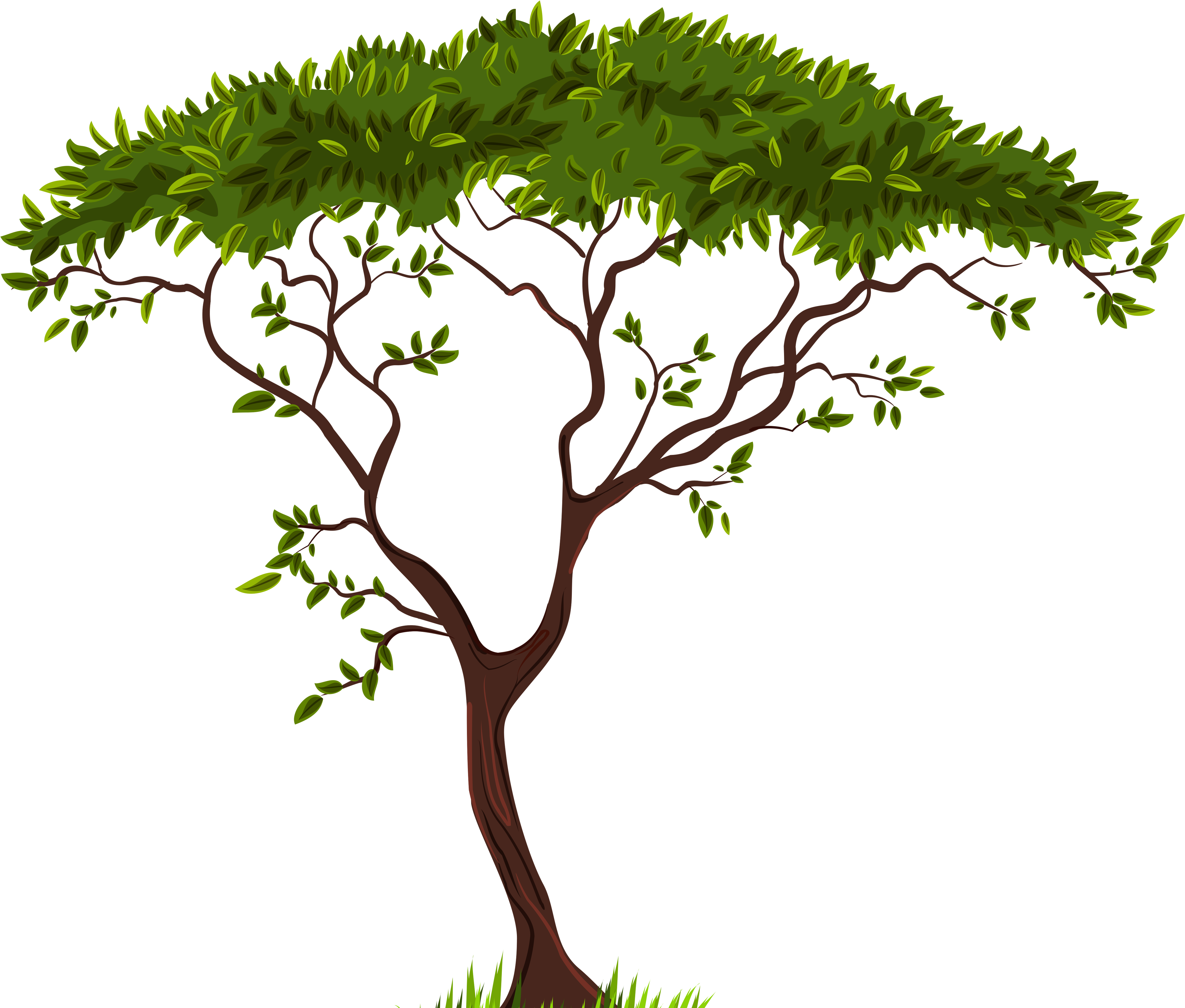 Exotic Tree Png Clip Art - Exotic Tree Png Clip Art (5000x4307)