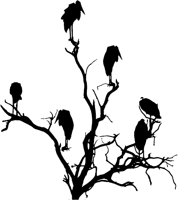 Vulture In A Tree Silhouette - Vulture In A Tree Silhouette (698x877)