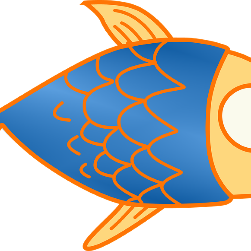 Fish Clip Art Fish Kids Clip Art Free Image On Pixabay - Cute Fish Png (1024x1024)