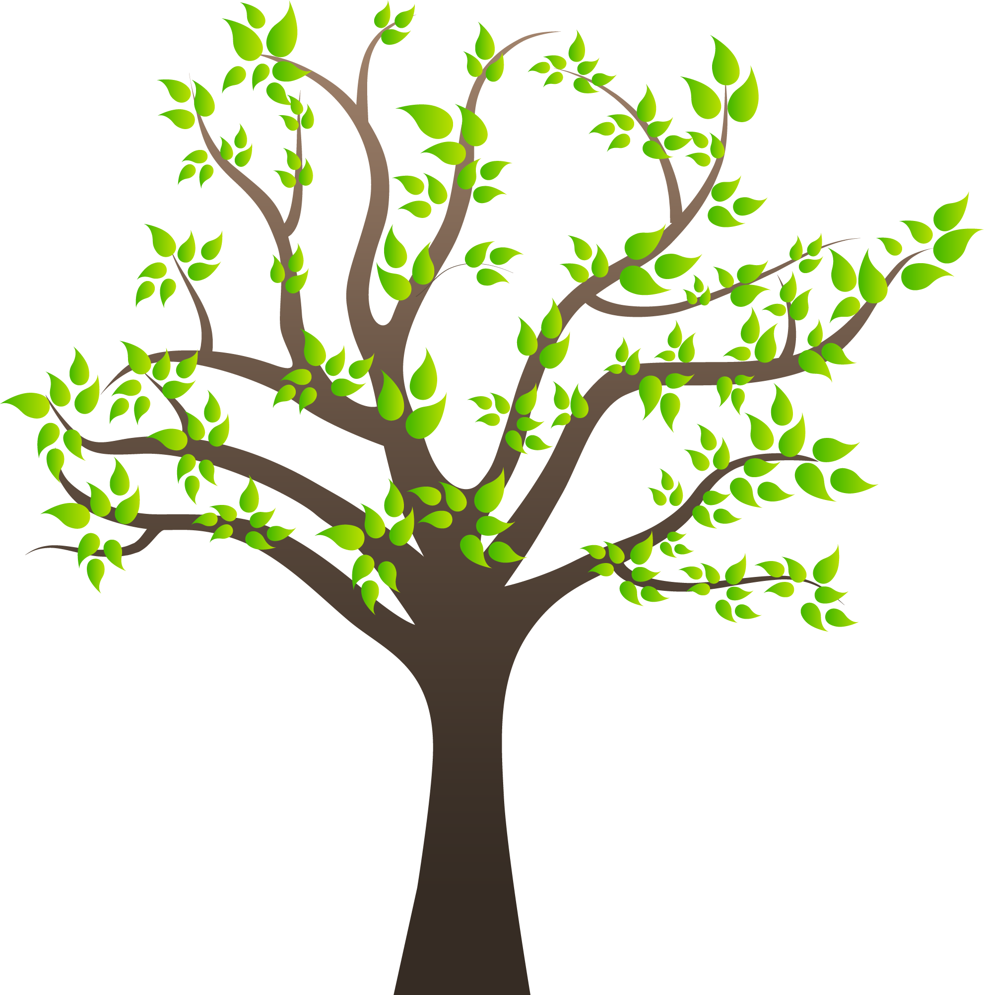 Tree Clipart Png Image 01 - Photosynthesis In A Tree (1983x2004)