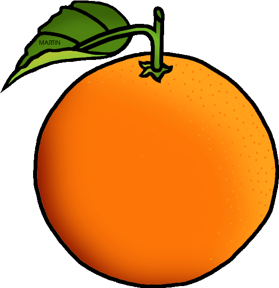 Orange Clipart - Orange Clipart (728x737)