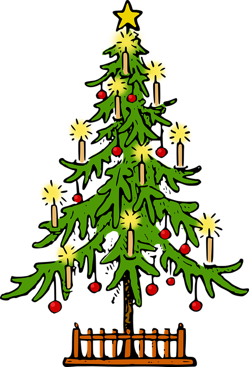 Fir Tree Clipart Conifer - Christmas Tree (489x720)