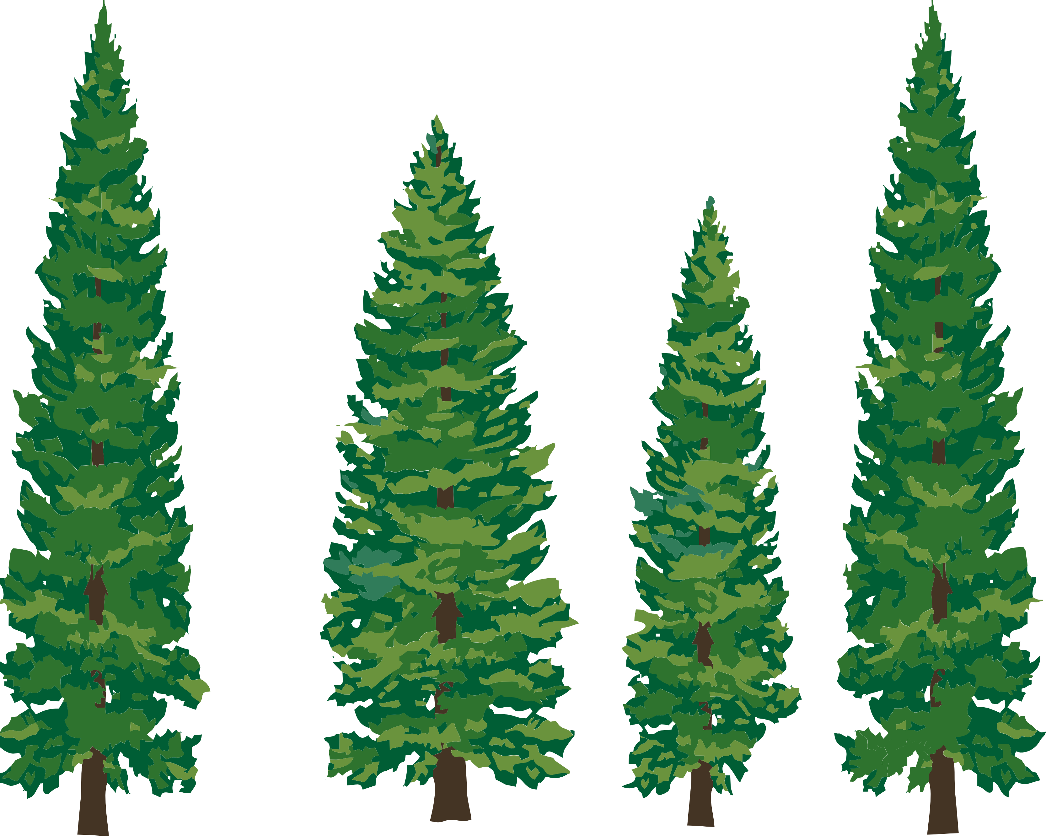 Clip - Art - Pine - Tree - Pine Tree Clipart Png (3333x2663)