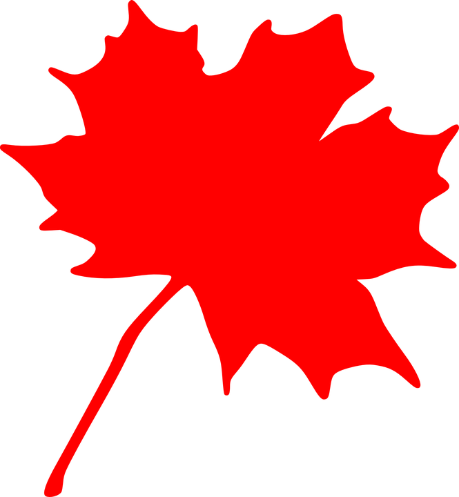Clipart Info - Canadian Maple Leaf Clip Art (665x720)