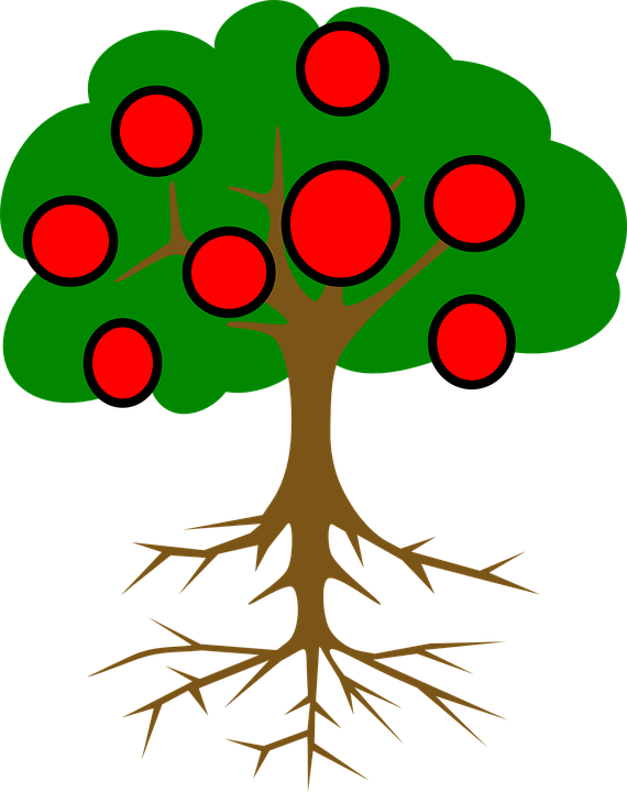 Tree Clip Art (570x720)