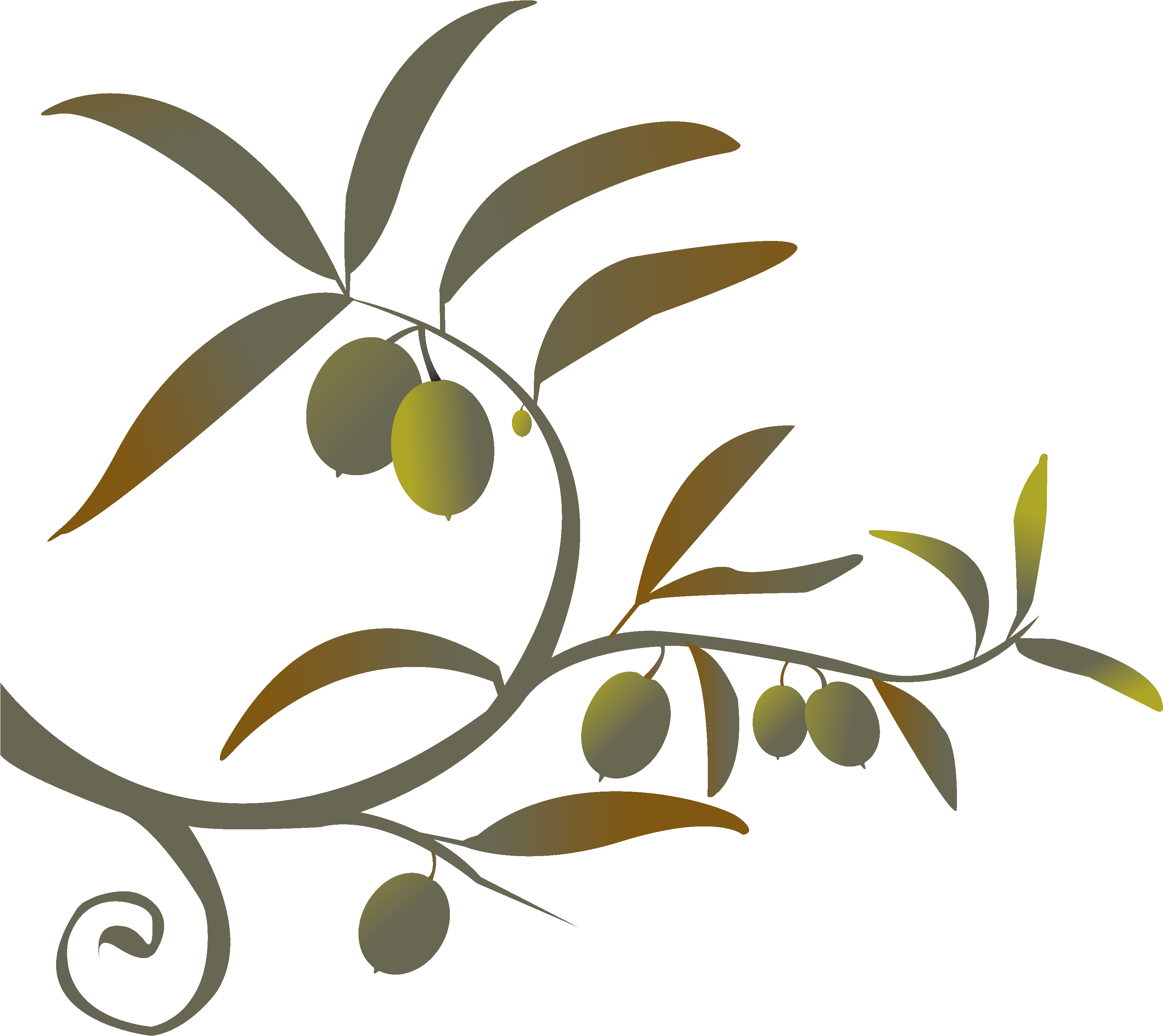 Olive Branch - Olive Branch (3306x3030)